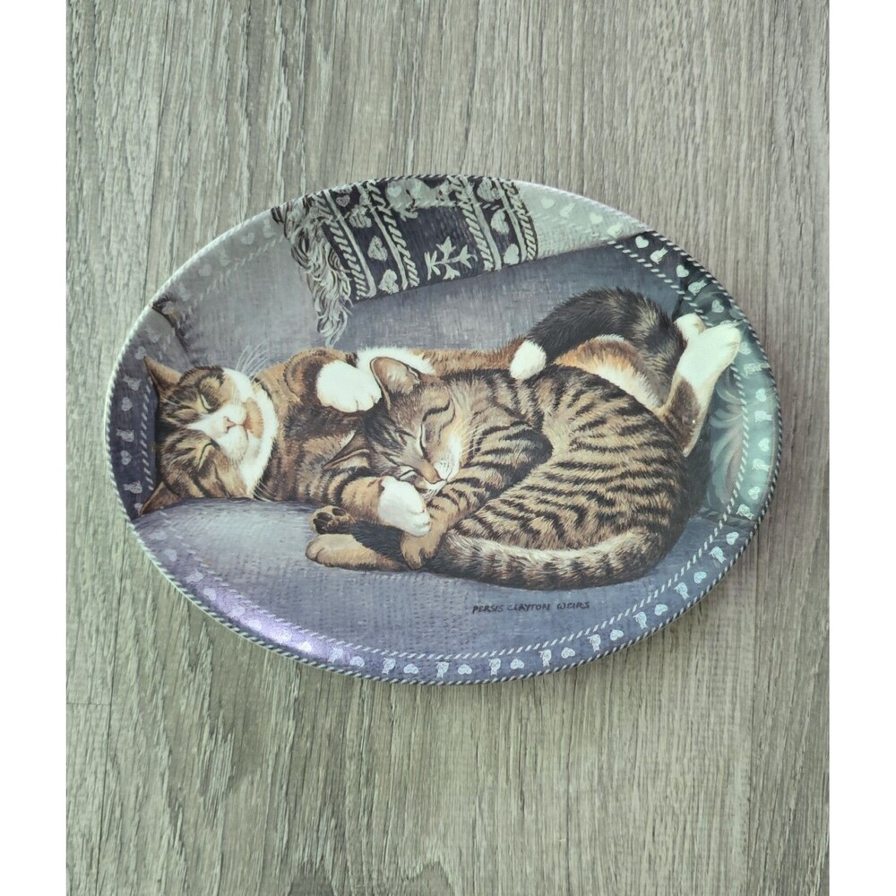 2002 Bradford Exchange Kitty Comforts Sweet Slumber Oval Cat Collector Plate